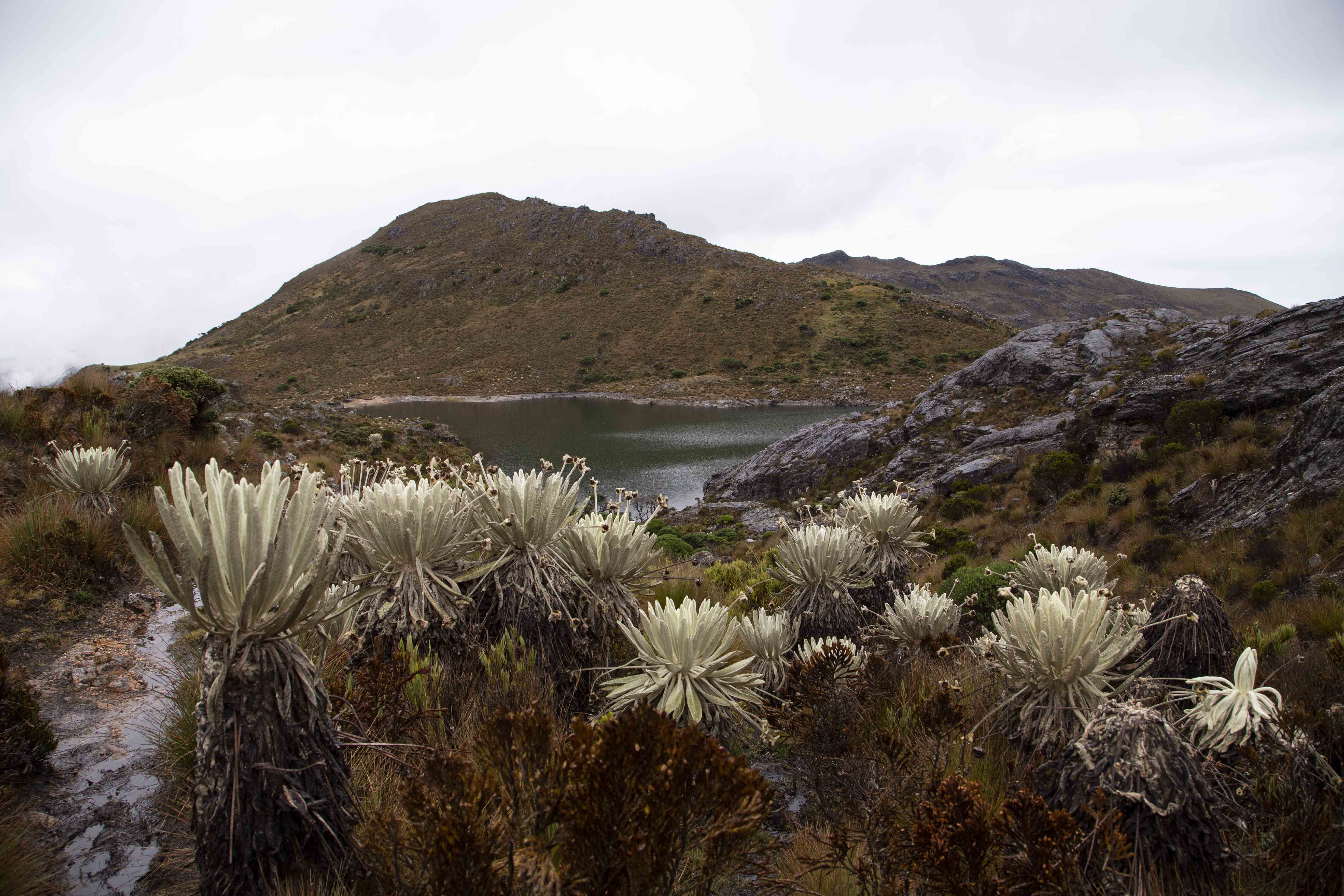 Paisaje de Acontecimientos — Yosman Botero, arte contemporáneo colombiano