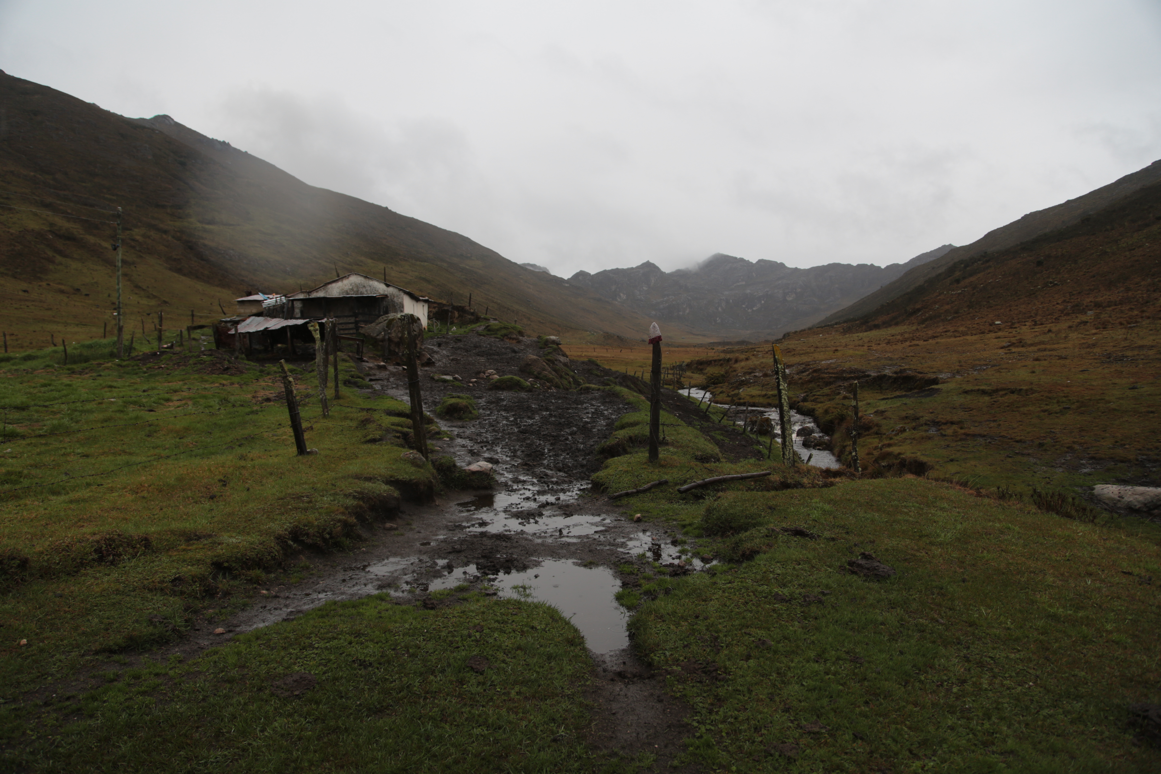 Paisaje de Acontecimientos — Yosman Botero, arte contemporáneo colombiano