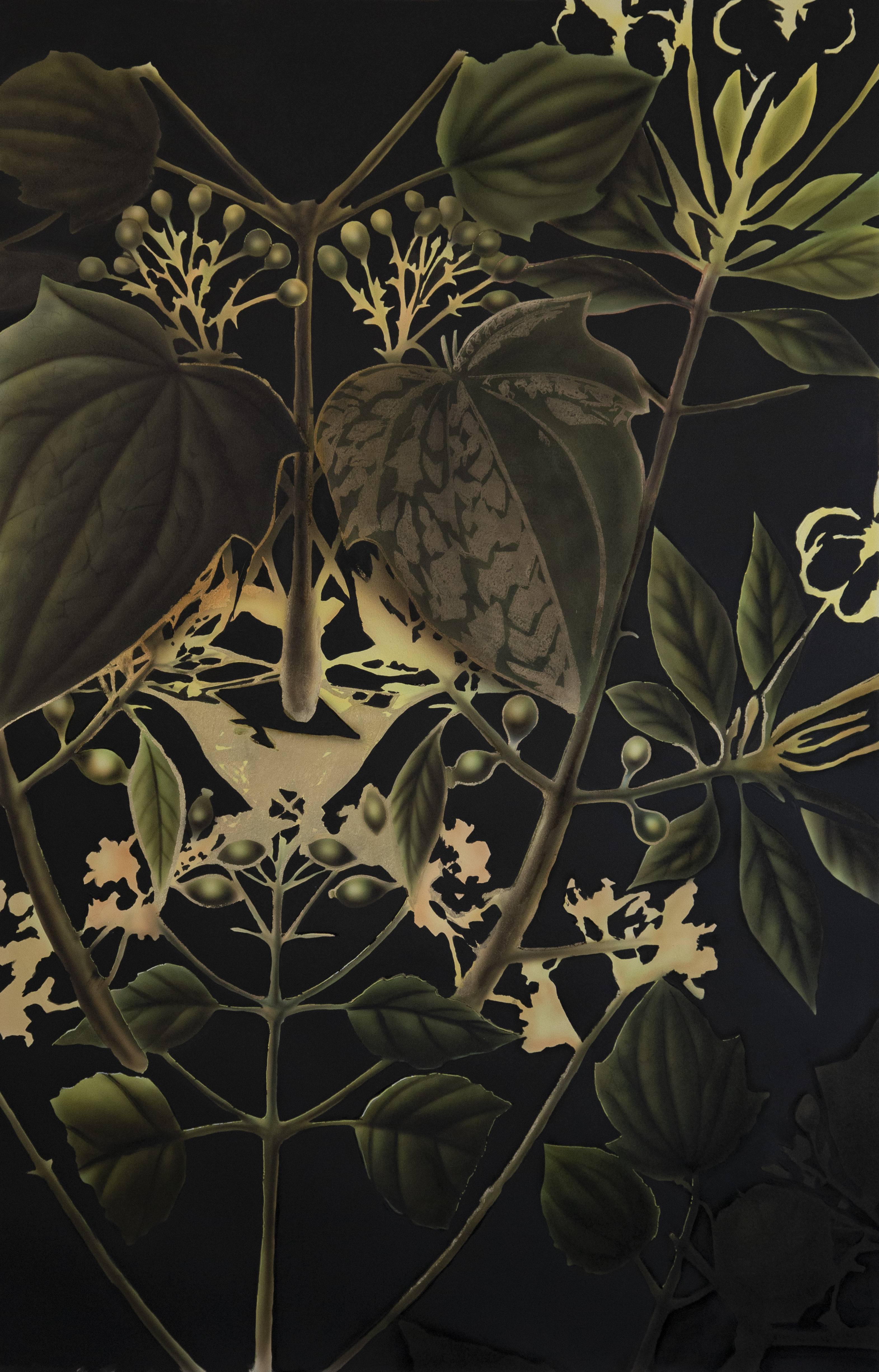 Posnatura — Yosman Botero, arte contemporáneo colombiano