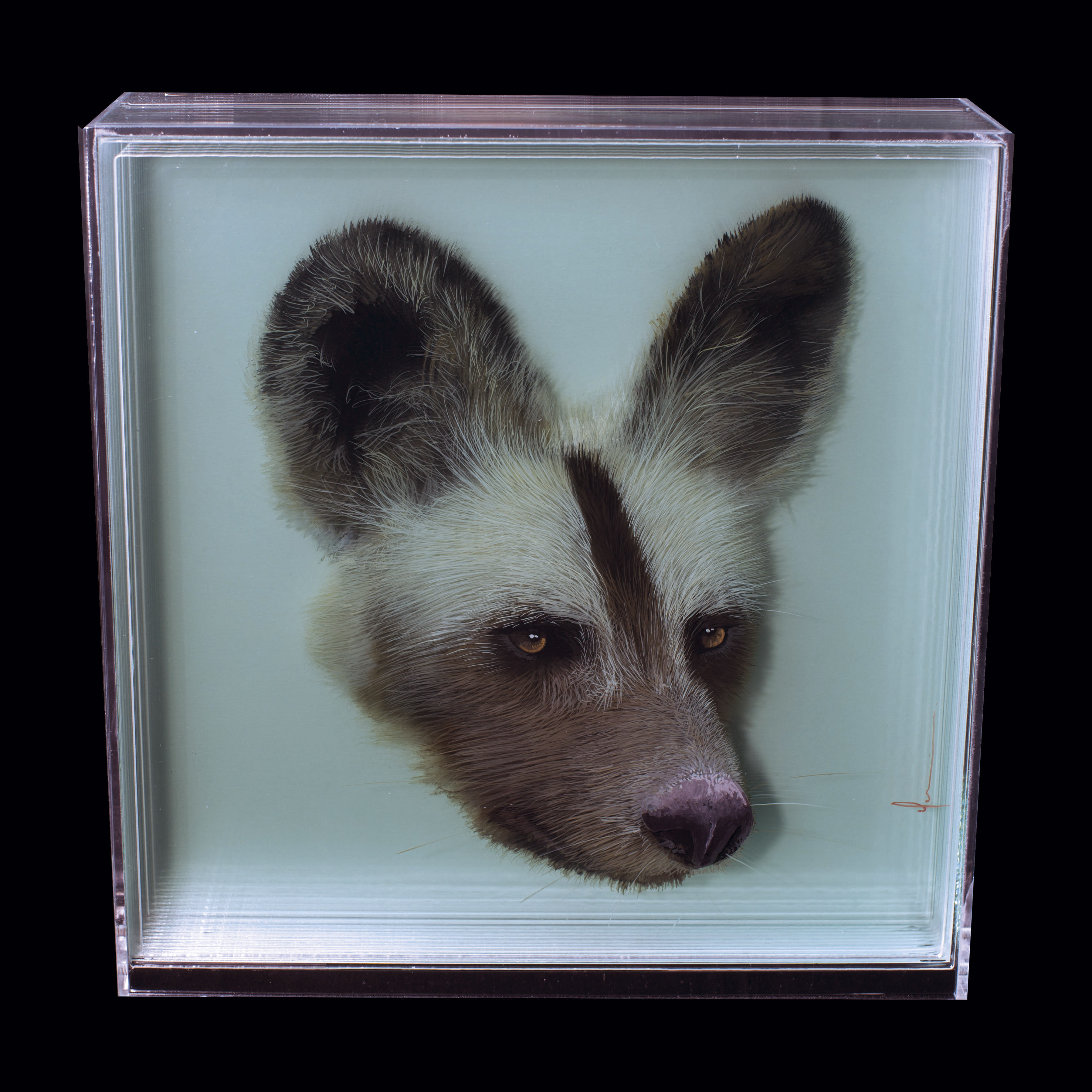 Taxonomy — Yosman Botero, arte contemporáneo colombiano