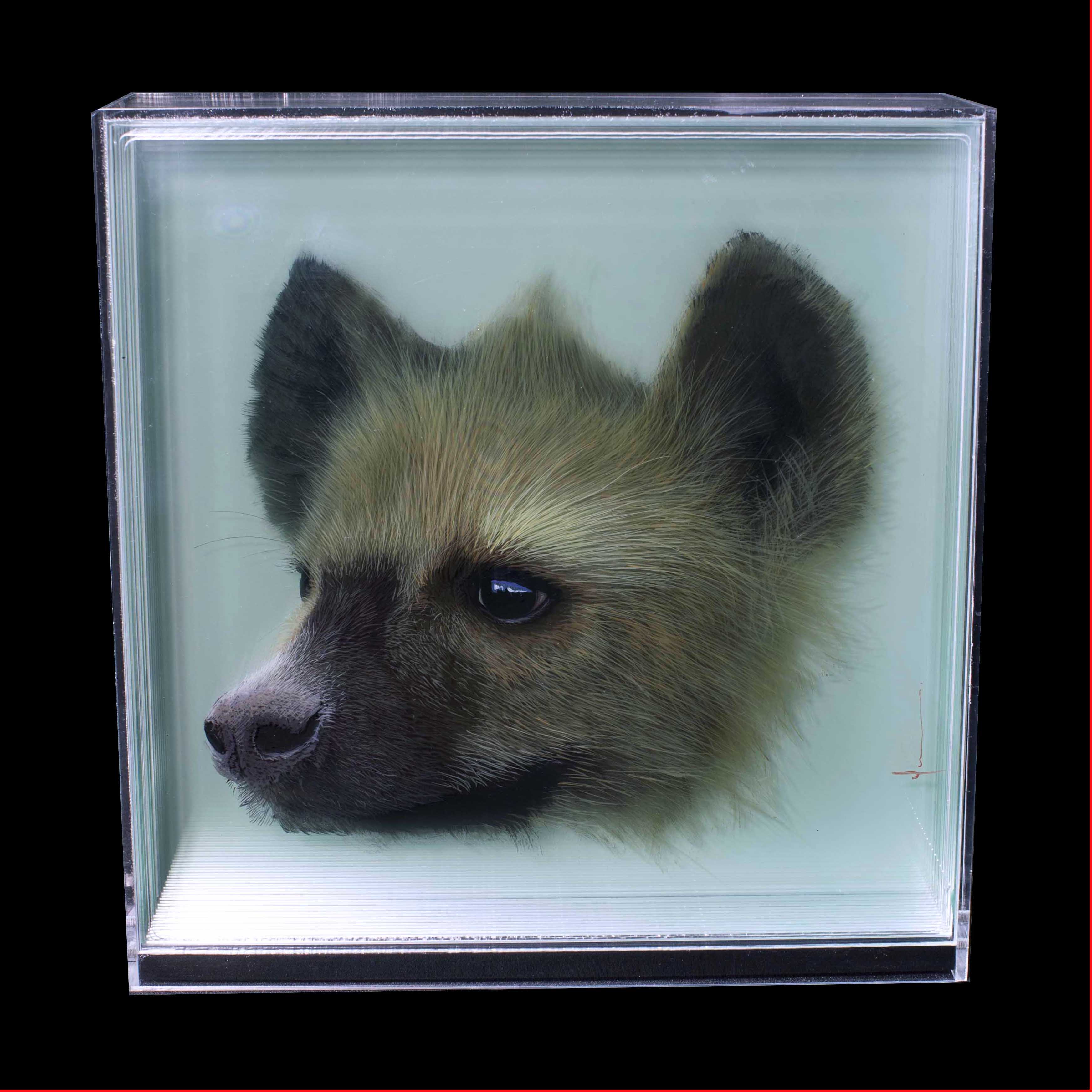 Taxonomy — Yosman Botero, arte contemporáneo colombiano