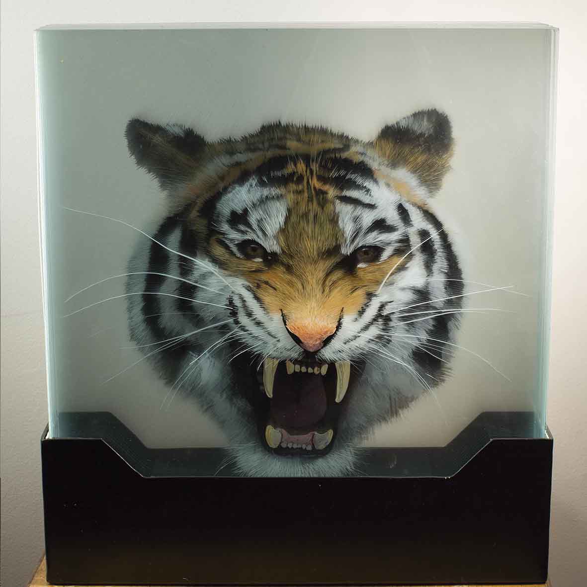 Taxonomy — Yosman Botero, arte contemporáneo colombiano