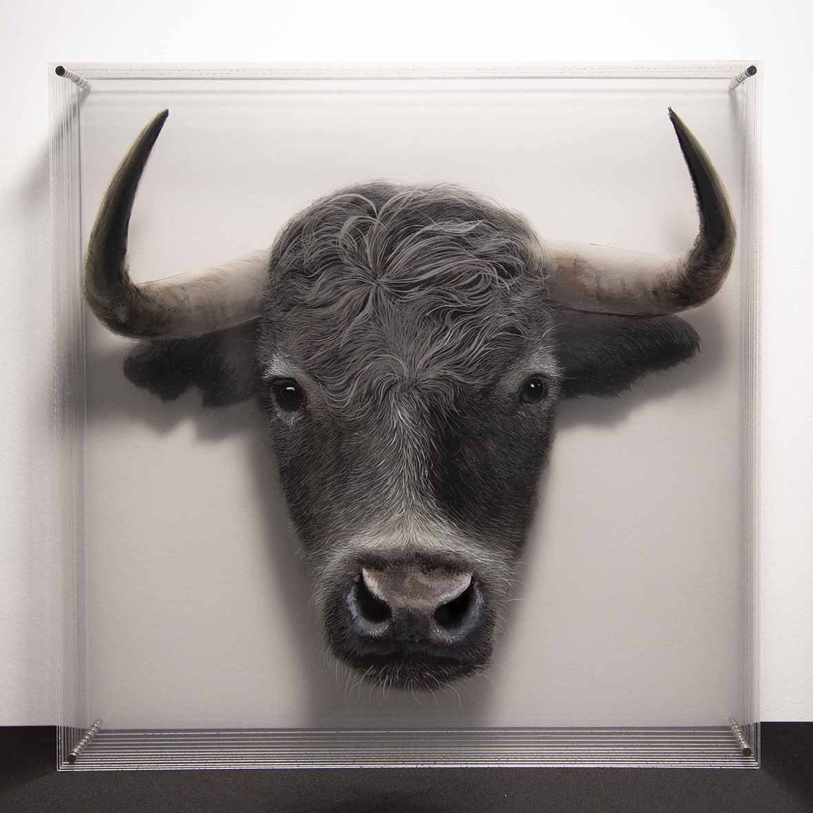 Taxonomy — Yosman Botero, arte contemporáneo colombiano