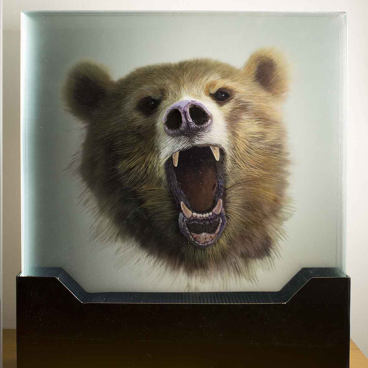 Taxonomy — Yosman Botero, arte contemporáneo colombiano