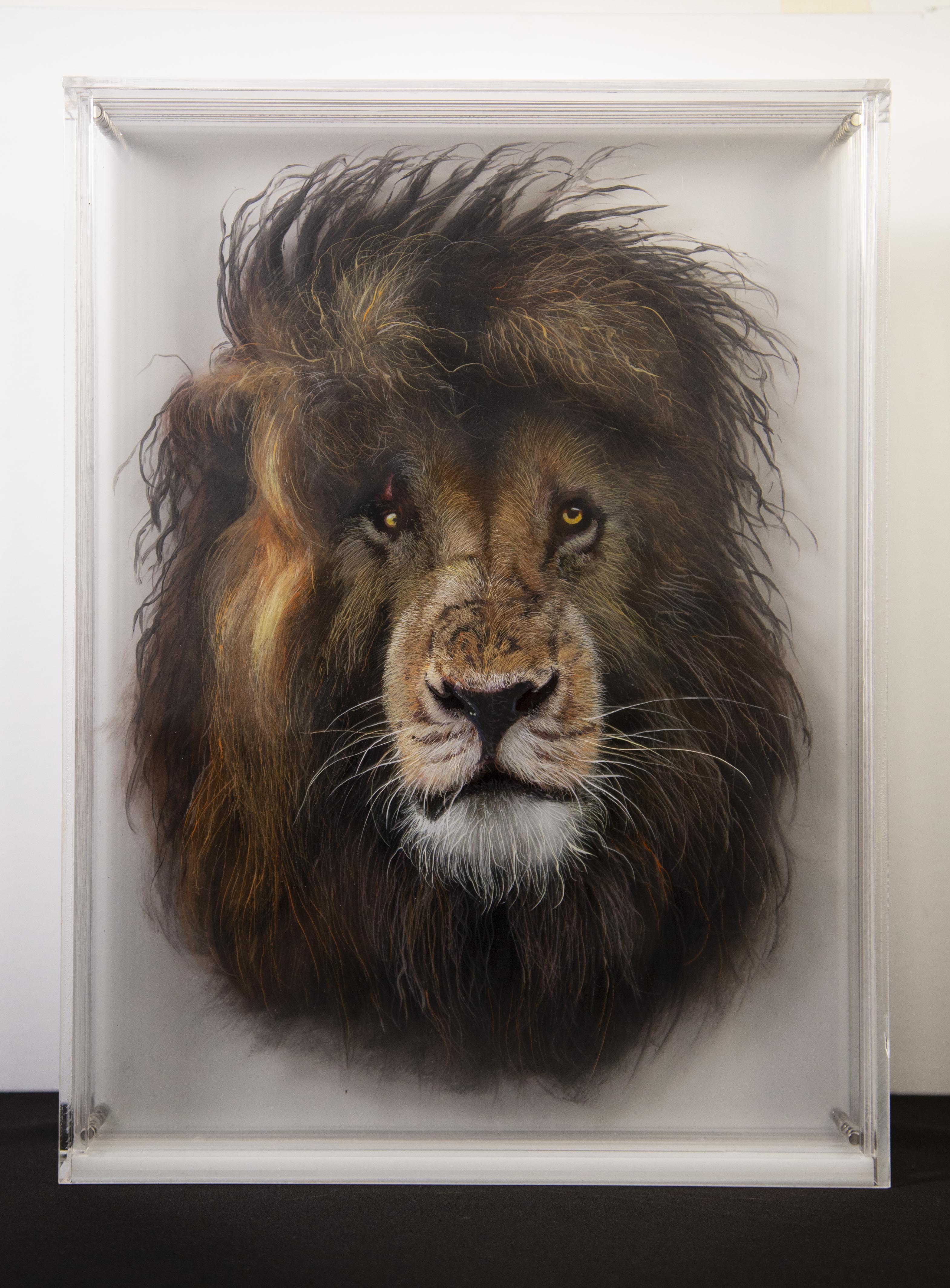 Taxonomy — Yosman Botero, arte contemporáneo colombiano