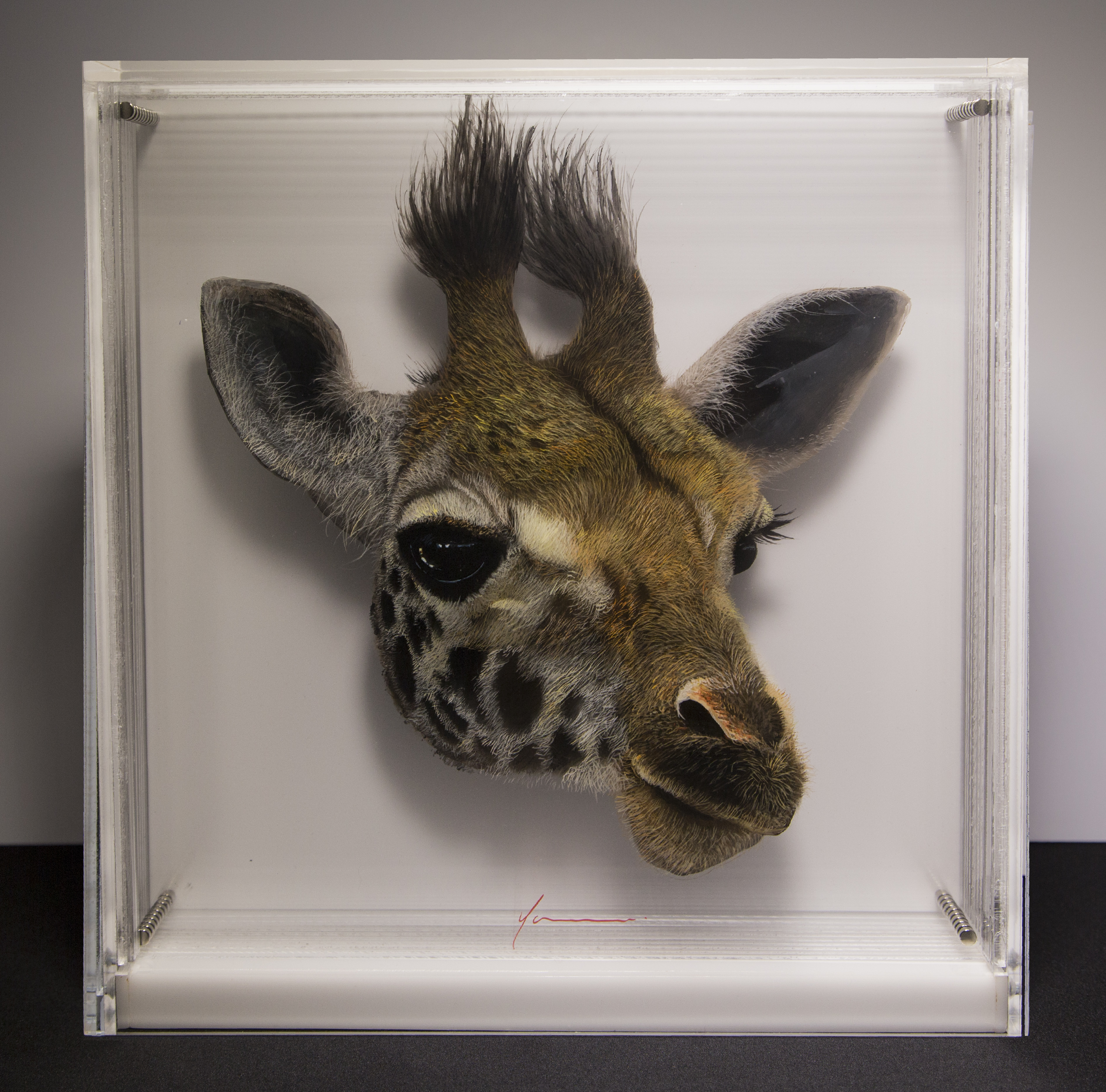 Taxonomy — Yosman Botero, arte contemporáneo colombiano