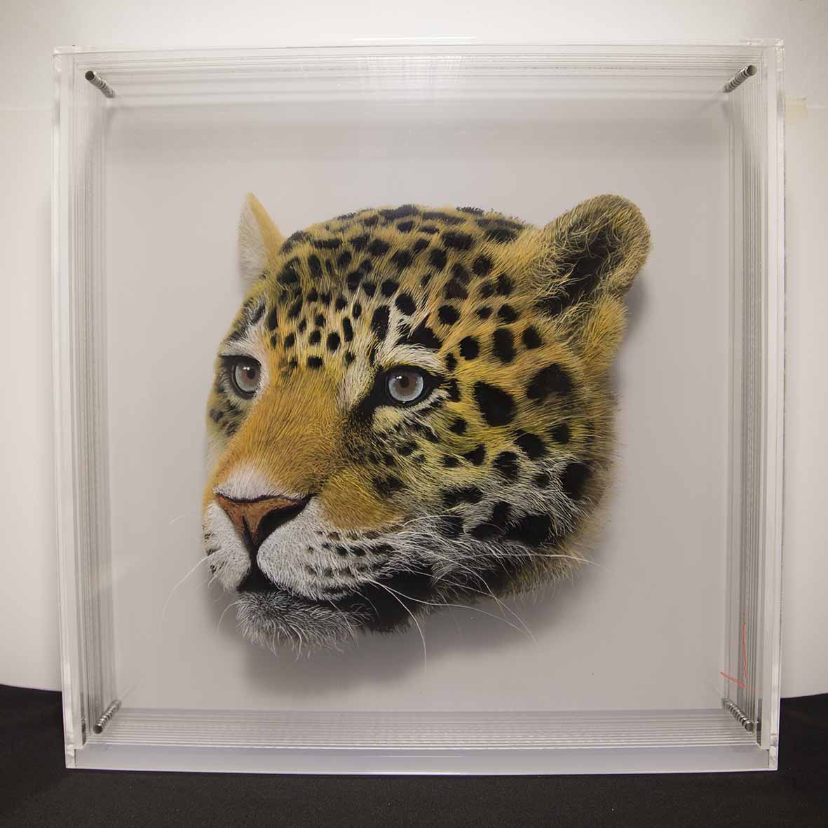 Taxonomy — Yosman Botero, arte contemporáneo colombiano