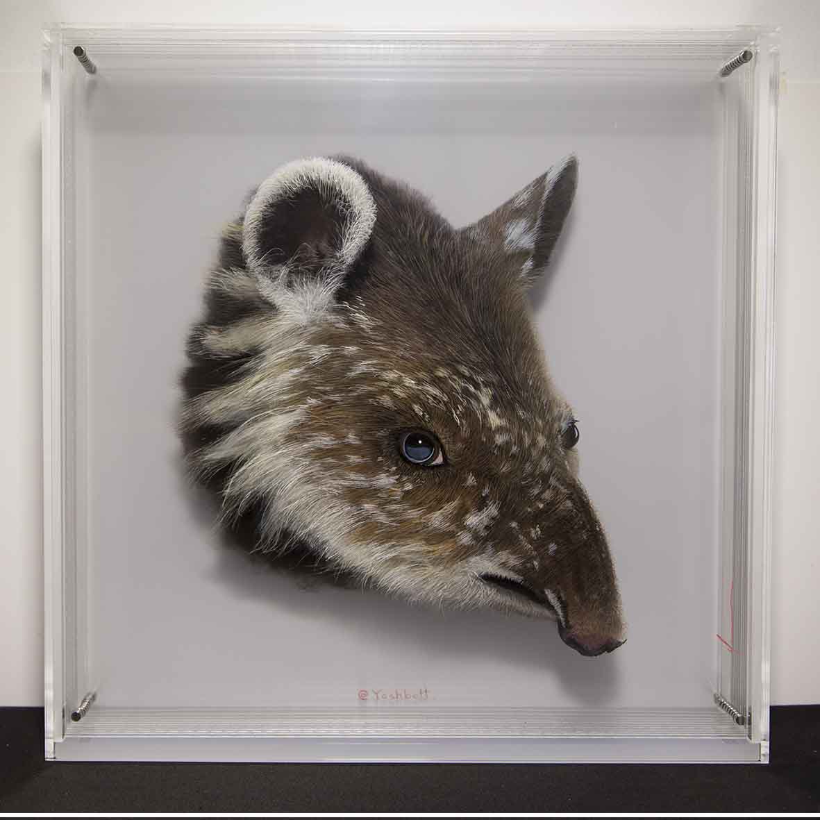 Taxonomy — Yosman Botero, arte contemporáneo colombiano