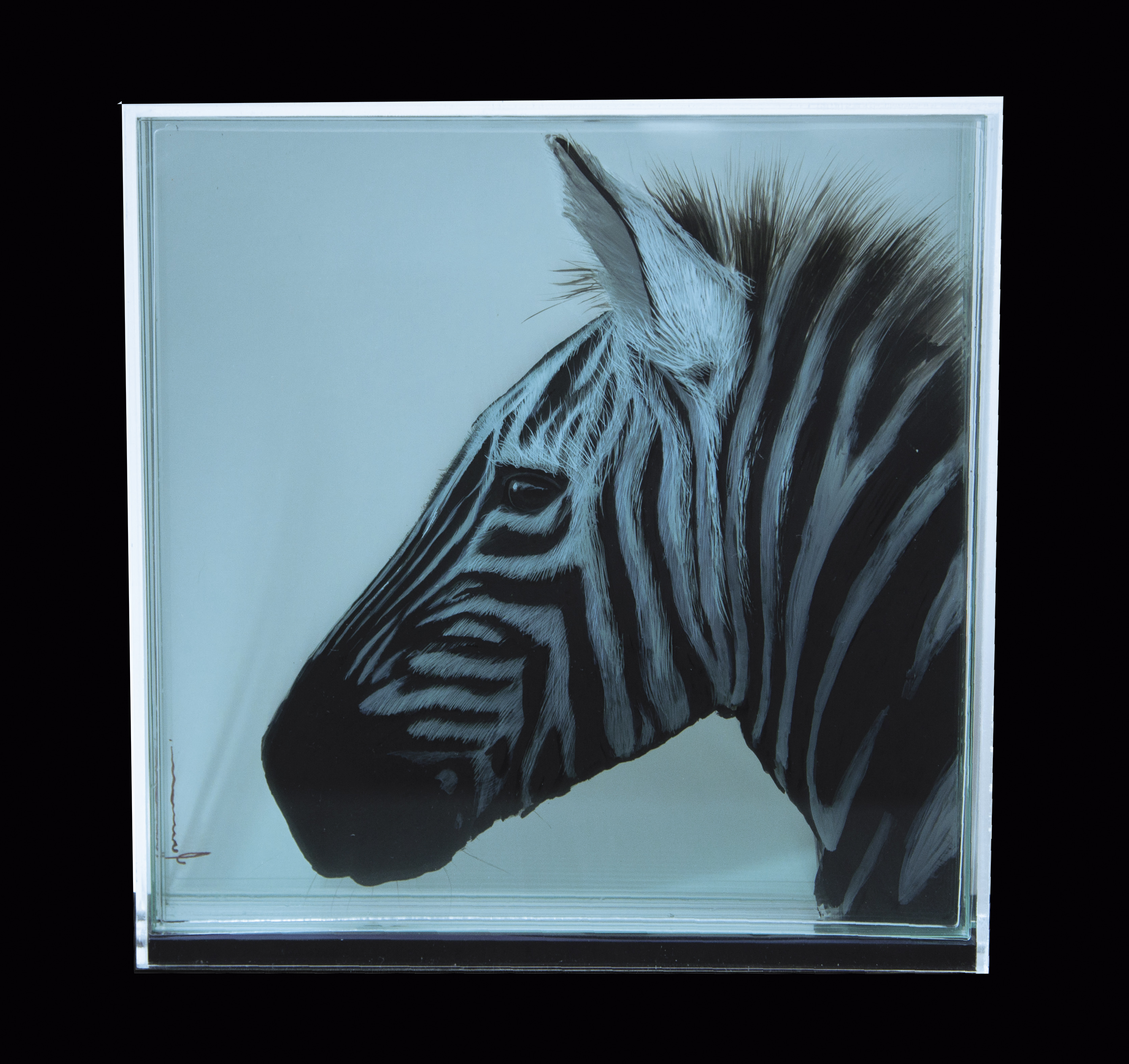 Taxonomy — Yosman Botero, arte contemporáneo colombiano